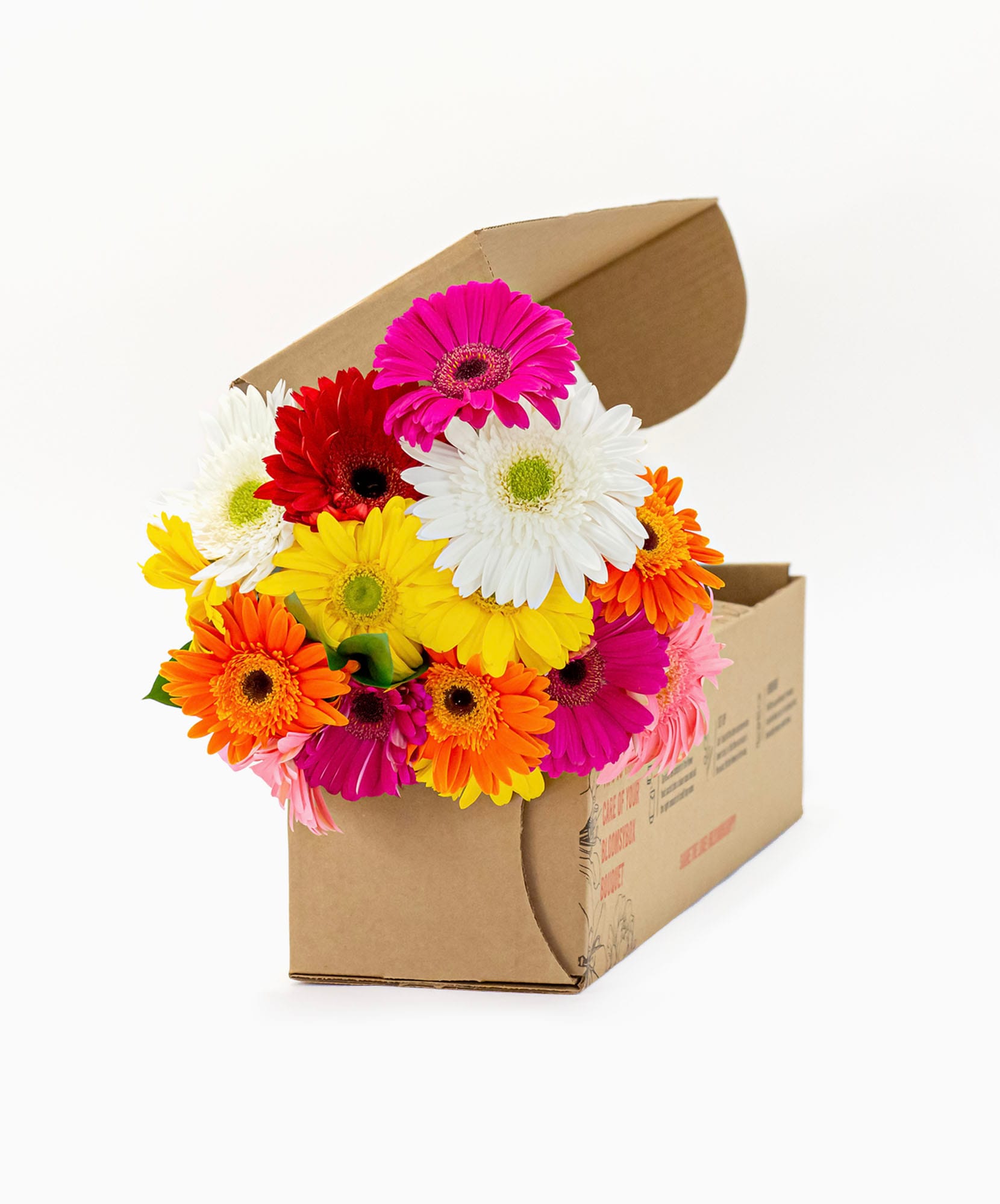 Vibrant gerbera daisy bouquet in assorted colors, elegantly arranged in a cardboard box.